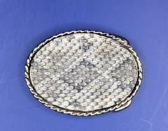 Small Rattlesnake Skin Belt Buckle with Epoxy Overlay USA made fits 1-1/4&Prime; Belt