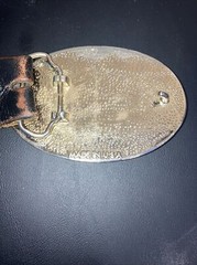 Vintage Belt Buckle Eagle Feathers Gold Resin with belt size 32