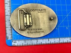 Dean Ambrose Jon Moxley Belt Buckle Wwe Loot Crate Exclusive 2016 Wrestling
