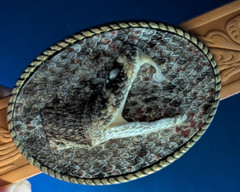 Genuine Rattlesnake Skin Oval Belt Buckle wit Head made in USA #B366