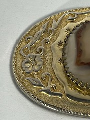 Gold Tone Western Belt Buckle w/Genuine Brazilian Agate Gemstone Stone (D)