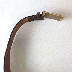 Louis Vuitton Pre-Owned Damier Sainteur Belt Gold 95Cm 5