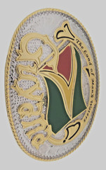 Guyana Georgetown Guyananian Flag Caribbean Belt Buckle Nation Gold Silver Metal