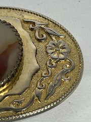 Gold Tone Western Belt Buckle w/Genuine Brazilian Agate Gemstone Stone (D)