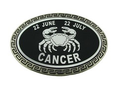 Zodiac Sign Bottle Opener Belt Buckle Astrology Horoscope Birthday Celestial New