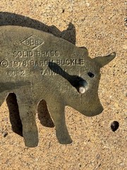 Vintage 1978 Baron Solid Brass Pig Swine Belt Buckle