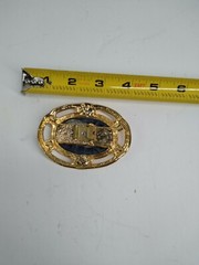 Western Brass Tone Oval Belt Buckle Blk Tiger-Eye Faux Leather Center Bohemian