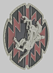Rodeo Belt Buckles Silver Metal Cowgirl Cowboy Men Women Vintage Texas State Red