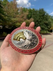 Western Buckle Gold Silver Red Horse Head Cowboy Oval 2 » Hebilla Vaquero