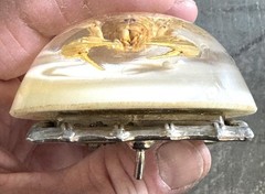 Real Scorpion In Clear Resin Arizona Belt Buckle
