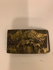 Colorado Rocky Mountain Solid Brass Belt Buckle Special Cast 1979 USA.