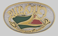 Guyana Georgetown Guyananian Flag Caribbean Belt Buckle Nation Gold Silver Metal