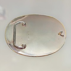 Guyana Belt Buckle Head, National Flag of Guyana “ The Land Of Many Waters”