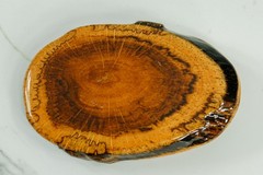 Cross-Cut burl wood mens belt buckle western