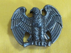 Full Body Eagle Wings Spread Metal
