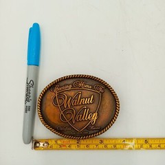 Walnut Valley Bluegrass Festival Vintage 1995 Belt Buckle RARE Winfield Kansas