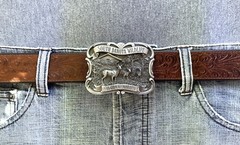 1986 Commemorative Vintage South Dakota Wildlife Arrowhead Gemcraft Belt Buckle