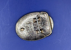 Small Rattlesnake Skin Belt Buckle with Epoxy Overlay USA made fits 1-1/4&Prime; Belt