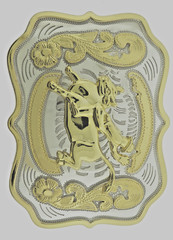 Rodeo Belt Buckle Gold Silver Metal Square Cowgirl Men Women Vintage Texas State