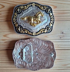 BIG Horse Stars western silver & gold & black belt buckle (choice designs)