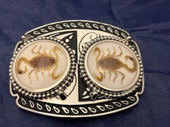Silver tone Scorpion Belt Buckle and Bolo Set