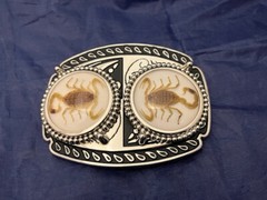 Silver tone Scorpion Belt Buckle and Bolo Set