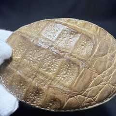 Vintage CROCODILE SKIN Belt Buckle El General 4 Inches Tan