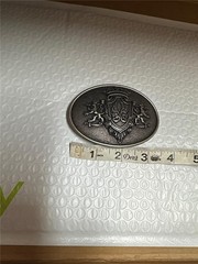 Vintage Belt Buckle with Unique Crest