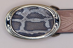 Real Floria Burmese Python Insert Belt Buckle made in USA