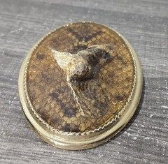 Taxidermy Rattlesnake Head Belt Buckle