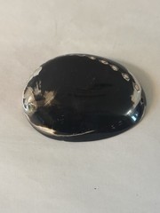 Vintage Polished Black Abalone Shell Belt Buckle by Elite in Fresno, California