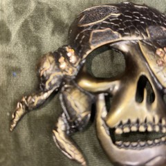 Skull Pirate Belt Buckle One Eyed Willie Brass Color