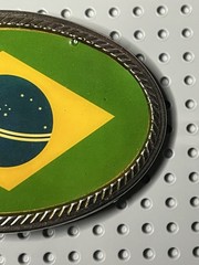 Brazil Flag Oval Belt Buckle Enamel Silver Tone Metal 4&Prime; x 2.75&Prime; Men Women