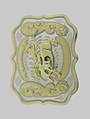 Rodeo Belt Buckle Gold Silver Metal Square Cowgirl Men Women Vintage Texas State