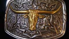 M&F WESTERN NOCONA SILVER & Gold tone LONGHORN BELT BUCK Belt Buckle 37688