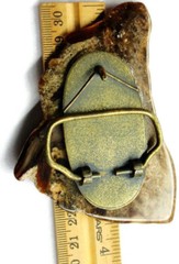 Belt Buckle Large Brown Natural Stone Polished Marble One of a Kind Handmade
