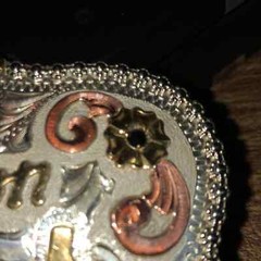 Frontier 2004 IQHA Idaho Quarter Horse Champion Belt Buckle
