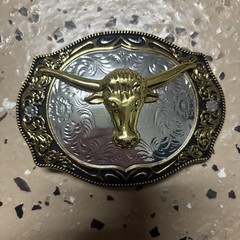 Rock Bull Ride Rodeo Cowboy Texas Western Shine Belt Buckle