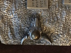 *** Siskiyou Iditarod 1998 Limited Edition Numbered Belt Buckle