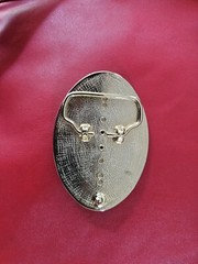 Brown Stone Goldtone Floral Etched Metal Belt Buckle Accessory