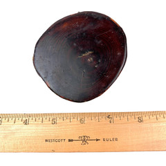 Vintage Handmade Unbranded Round Resin Wood Wooden Belt Buckle