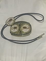 Gold tone Scorpion Belt Buckle and Bolo Set