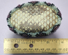 Genuine Rattlesnake Skin Belt Buckle & Wallet Set – Handcrafted Western Leather