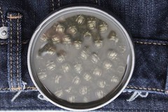 Men / Women Silver Metal Buckle Gothic Fashion Brown Skeleton Skulls Biker Round