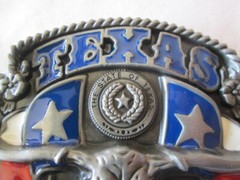 Texas Long Horn Steer Skull Western Enamel Belt Buckle State Flags NEW