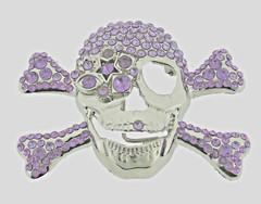 Skull Belt Buckles Crossbones Halloween Pirate Costume Bling Purple Rhinestones
