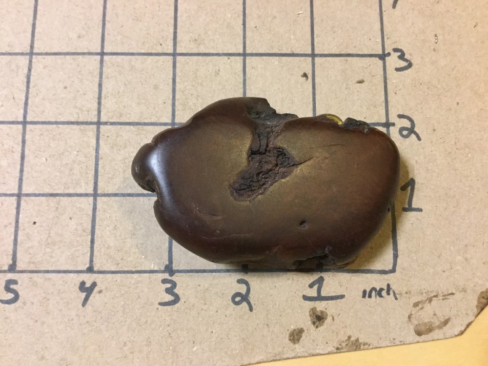 vintage original: neat wooden belt buckle w brass back,