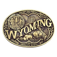 Montana Silversmiths State Heritage Antiqued Oval Brass Western Belt Buckle New