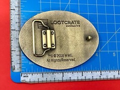 Dean Ambrose Jon Moxley Belt Buckle Wwe Loot Crate Exclusive 2016 Wrestling