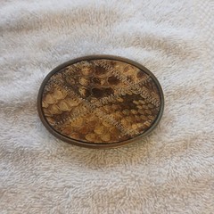 Snake Skin Belt Buckle